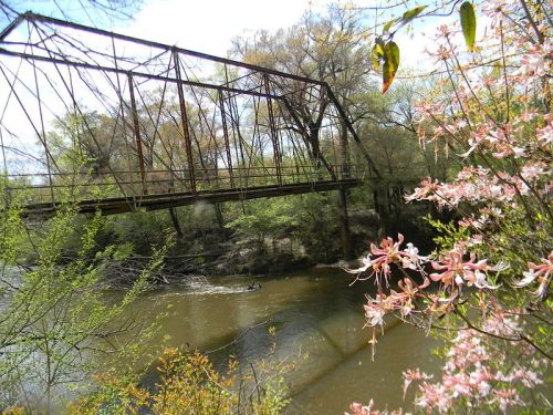 An old, rusted bridge spans a river, surrounded by blooming flowers and lush greenery on a sunny day.