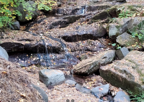 A serene stream flows over rocks, surrounded by autumn leaves and greenery in a peaceful natural setting.