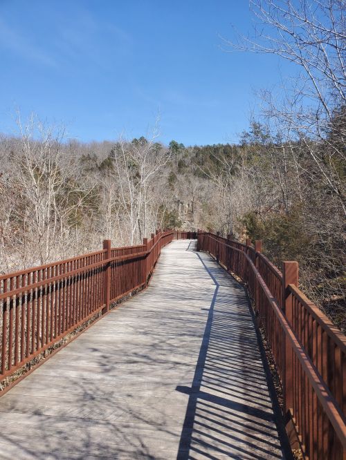 A wooden walkway stretches through a wooded area under a clear blue sky, surrounded by bare trees.