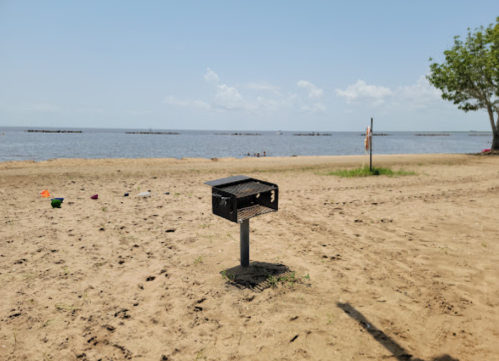 A beach scene featuring a charcoal grill on a sandy shore, with water and trees in the background.