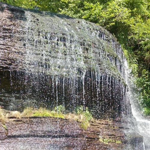 A serene waterfall cascading over rocky layers, surrounded by lush green foliage.