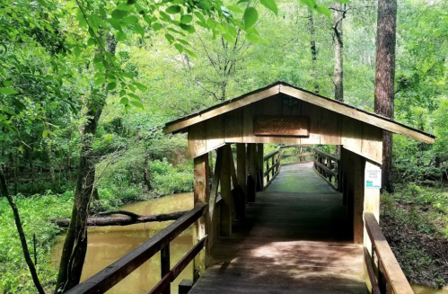 A wooden covered bridge leads into a lush green forest beside a calm river.