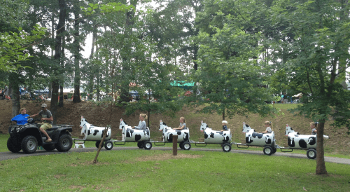 Children ride a cow-themed train pulled by an ATV through a park, surrounded by trees and greenery.