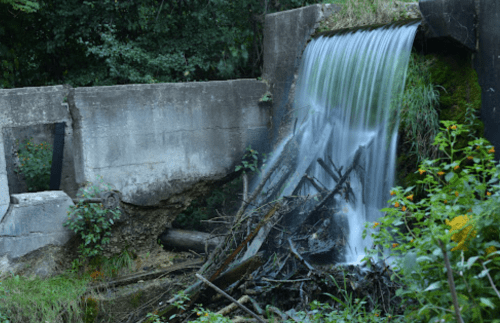 A serene waterfall cascades over a concrete structure, surrounded by lush greenery and fallen branches.