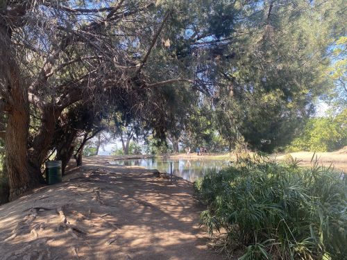 A serene park scene featuring a path by a pond, surrounded by trees and lush greenery.