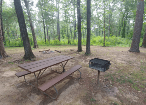 A picnic table and grill in a wooded area, surrounded by trees and greenery.