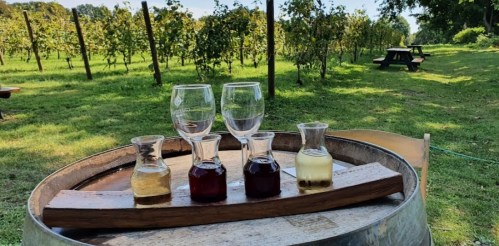 A wooden tray with four glass carafes and glasses of wine, set on a barrel in a vineyard with green vines in the background.