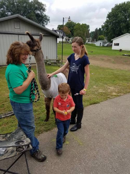 A woman and a girl stand beside a llama wearing a shirt, while a boy holds a toy, all outdoors on a grassy area.