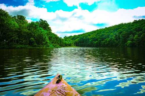 A kayak on calm water, surrounded by lush green trees and a bright blue sky with fluffy clouds.