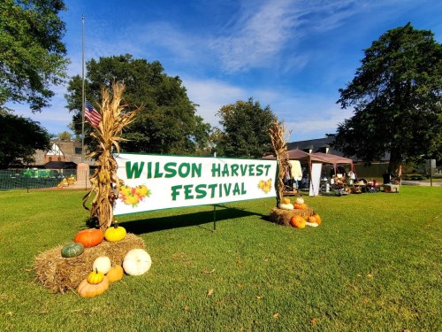 A banner reading "Wilson Harvest Festival" surrounded by pumpkins and autumn decorations in a grassy area.