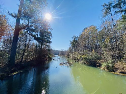 A serene river scene surrounded by trees, with bright sunlight reflecting on the water under a clear blue sky.