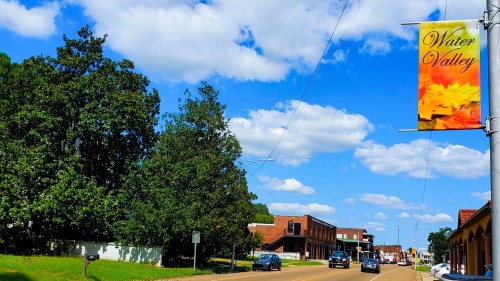 A sunny street in Water Valley, featuring trees, a banner, and buildings under a blue sky with fluffy clouds.