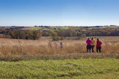 A group of people walking through a grassy field with trees and rolling hills in the background on a clear day.