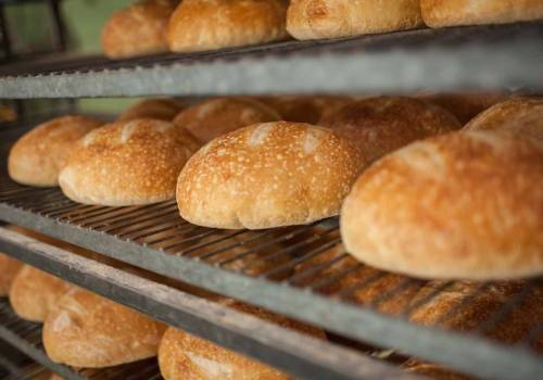 Freshly baked round loaves of bread cooling on metal racks in a bakery.