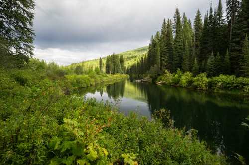 A serene river flows through lush greenery and tall trees under a cloudy sky.