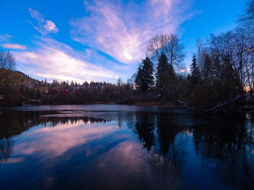 A serene lake reflecting a blue sky with clouds, surrounded by trees and a peaceful landscape.