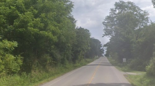 A quiet, tree-lined road stretches into the distance under a cloudy sky.