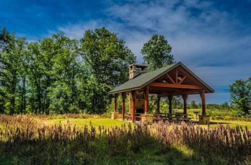 A wooden pavilion surrounded by tall grass and trees under a blue sky with scattered clouds.