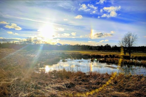 A serene landscape featuring a pond, grassy area, and a bright sky with clouds and sunlight.