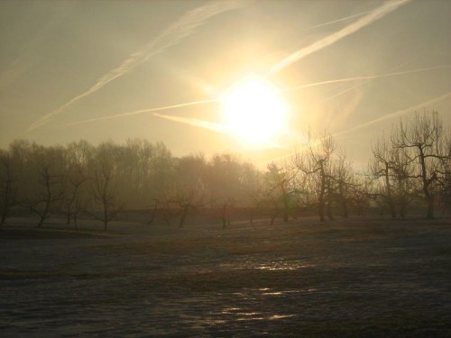 A hazy sunrise over a winter landscape with bare trees and soft light illuminating the scene.