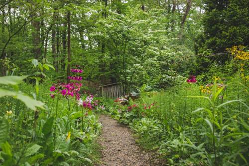 A winding gravel path through a lush garden filled with colorful flowers and greenery, leading to a wooden bridge.