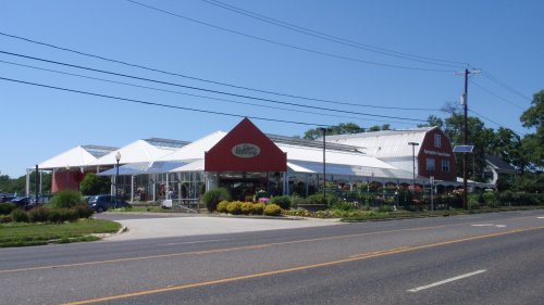 A large garden center with a red and white exterior, surrounded by colorful flowers and greenery, on a sunny day.