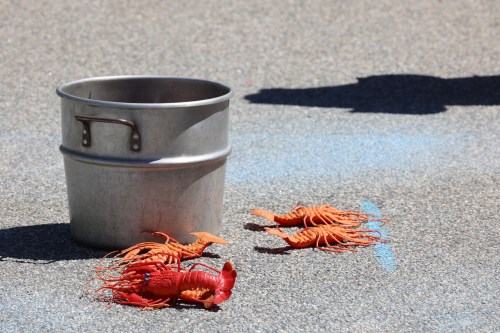 A metal bucket on a pavement with several red lobsters scattered nearby.