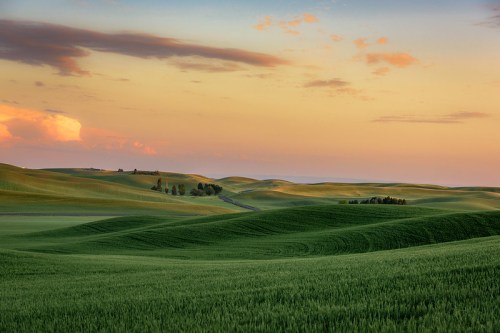 Rolling green hills under a colorful sunset sky, with gentle curves and distant trees on the horizon.