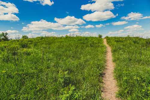 A winding dirt path leads through lush green grass under a bright blue sky with fluffy white clouds.