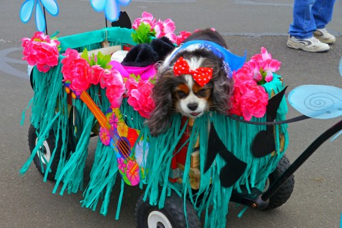 A decorated wagon with a dog wearing a bow, surrounded by flowers and musical notes, in a festive outdoor setting.