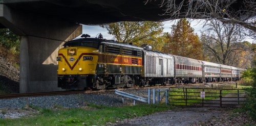 A vintage train with a yellow and black locomotive travels along a track under a bridge, surrounded by autumn foliage.