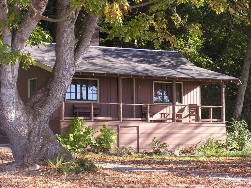 A cozy brown cottage with a porch, surrounded by trees and greenery, on a sunny day.