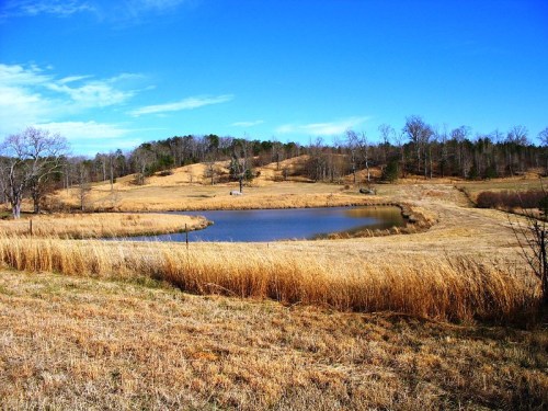 A serene landscape featuring a pond surrounded by dry grass and trees under a clear blue sky.