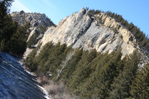 A rocky mountain peak rises above a dense forest of evergreen trees under a clear blue sky.