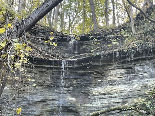 A serene waterfall cascading over layered rock, surrounded by trees and autumn foliage.