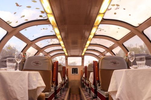 Interior of a train dining car with large windows, tables set with white tablecloths, and autumn leaves visible outside.