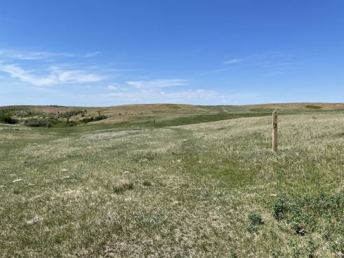 A wide, open landscape with rolling hills under a clear blue sky, featuring green grass and a wooden post in the foreground.
