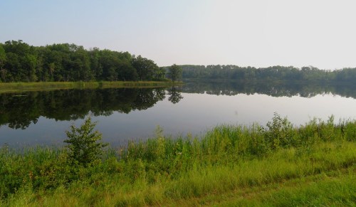 A serene lake surrounded by lush greenery, reflecting trees and a clear sky in calm waters.