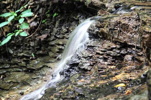 A small waterfall cascading over rocky terrain, surrounded by green foliage and fallen leaves.
