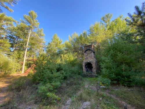 A stone chimney stands amidst lush green trees and underbrush in a serene forest setting.