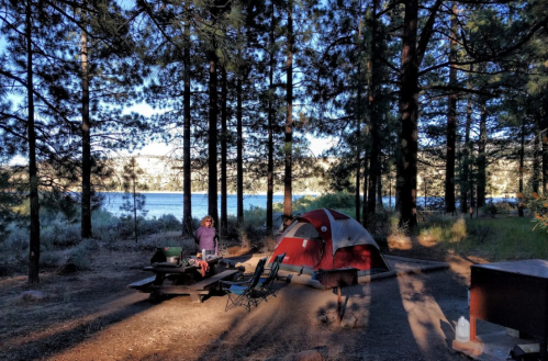 A campsite with a red tent, picnic table, and chairs surrounded by tall trees and a lake in the background.