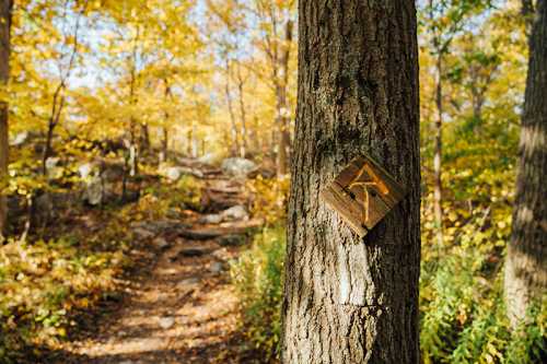 A wooden trail marker on a tree, with a path leading through a vibrant autumn forest.