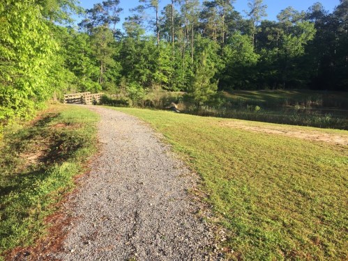 A gravel path leads through lush greenery to a serene pond, surrounded by trees under a clear blue sky.