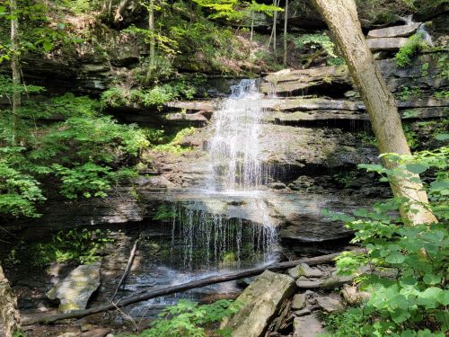 A serene waterfall cascading over rocks, surrounded by lush green foliage and trees in a tranquil forest setting.