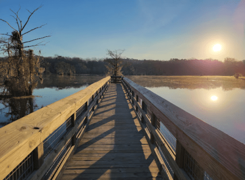 A wooden boardwalk extends over a calm lake at sunrise, surrounded by trees and mist.