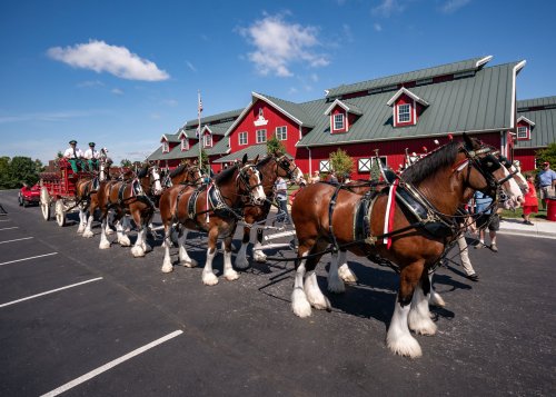 A team of Clydesdale horses pulls a wagon past a red barn on a sunny day, with spectators watching nearby.