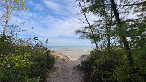 A sandy path leads to a serene beach with gentle waves and trees framing the view under a blue sky.