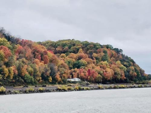 Colorful autumn foliage covers a hillside, with a river and a small building visible at the base. Overcast sky above.