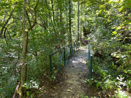 A narrow green bridge over a path surrounded by lush green trees and foliage in a forested area.