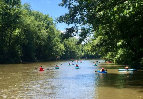 A group of people kayaking on a calm river surrounded by lush green trees under a clear blue sky.